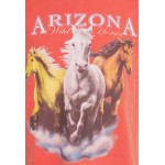 Kobiety T SHIRT TOP | Vintage Supply WILD HORSES ARIZONA GRAPHIC UNISEX - T-shirt z nadrukiem - od red/czerwony - NV38024