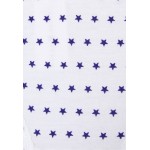 Kobiety UNDERPANT | Stripe + Stare STARRY NIGHT KNICKER BOX 4 PACK - Figi - purple/white/fioletowy - XV38267