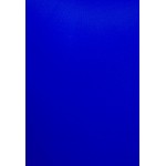 Kobiety BEACH TROUSER | Pour Moi SPACE HIGH LEG HIGH WAIST CONTROL BRIEF - Dół od bikini - blue/niebieski - WY68503